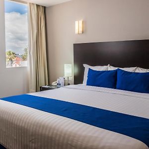 Hotel Zenith